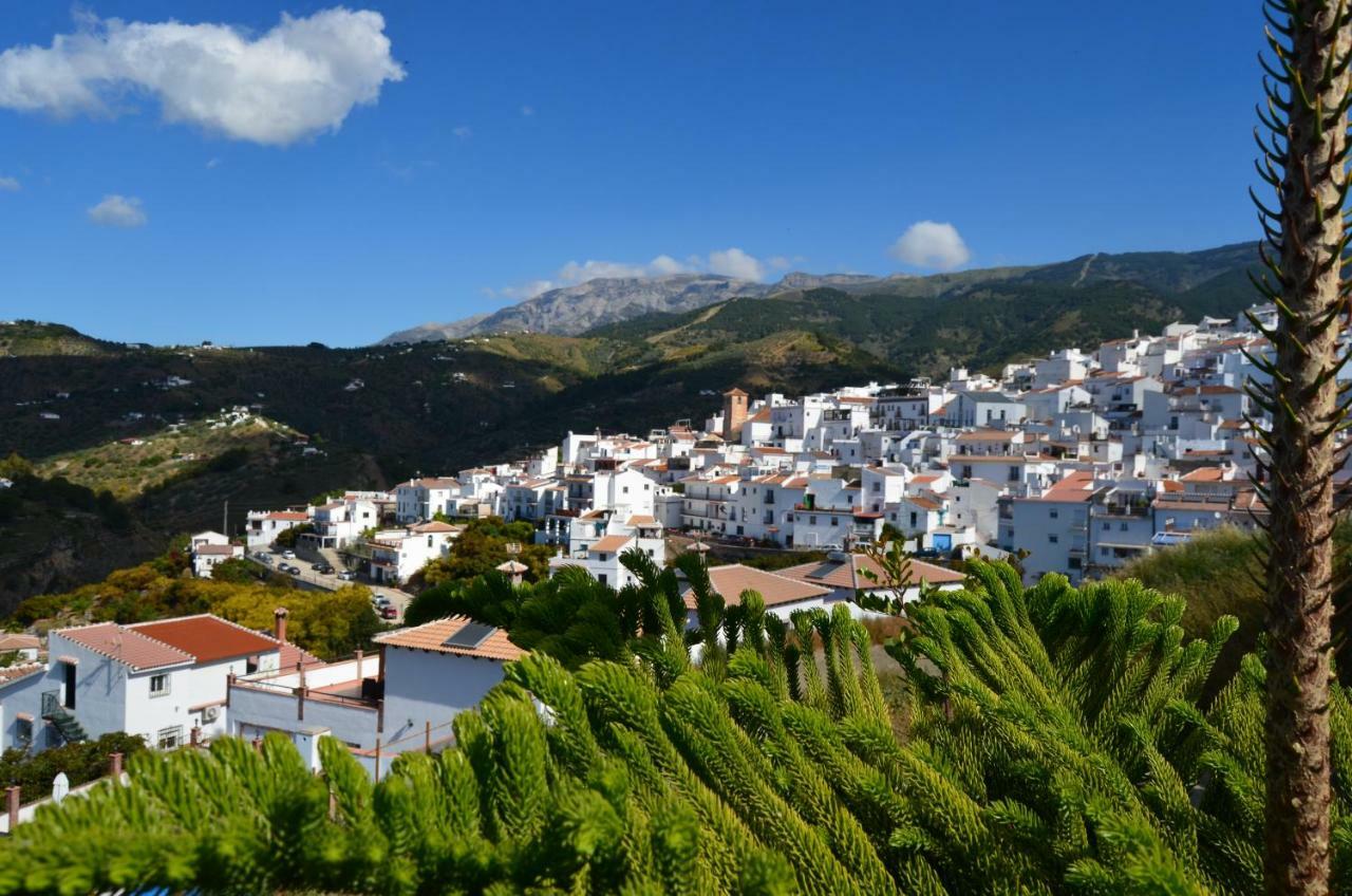 Posada La Plaza Canillas de Albaida Exteriör bild